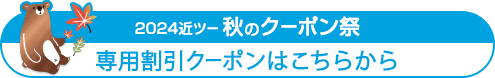 国内ダイナミックパッケージ（交通＋宿泊）
専用割引クーポン