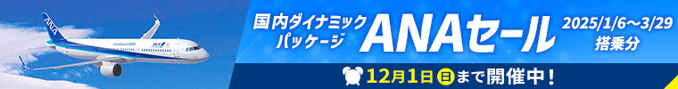 【ANA】11/26～12/1の5日間限定！2025年1～3月の飛行機＋宿泊プラン タイムセール！