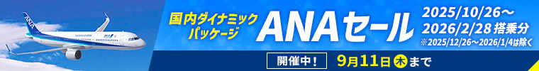 【ANA】9/11まで限定！2025年10/26～2026年2/28の飛行機＋宿泊プラン タイムセール！