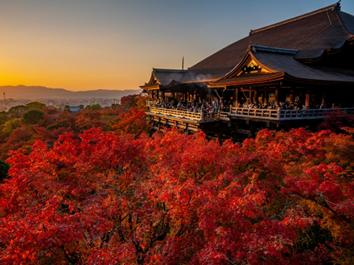 京都