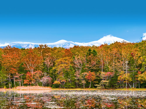 北海道