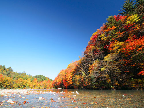 長野