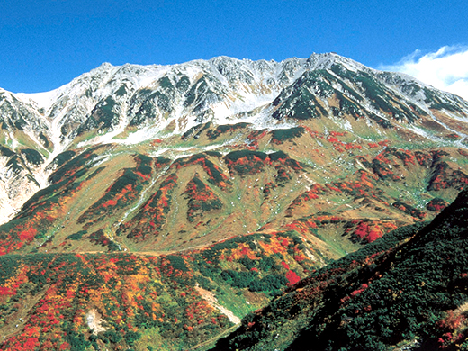 雲上の別天地　立山黒部アルペンルート