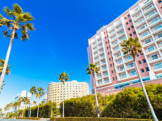 東京ディズニーリゾート®　イメージ