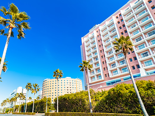 千葉・東京ディズニーリゾート®　イメージ