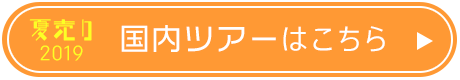 国内ツアーはこちら