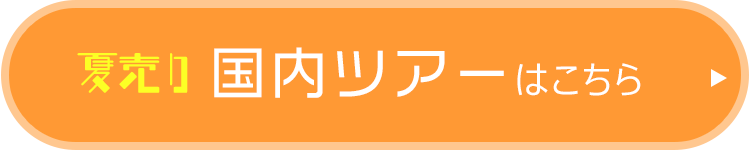 国内ツアーはこちら