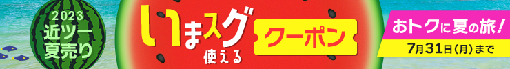 【いまスグ使えるクーポン配布中！】2023近ツー夏売り