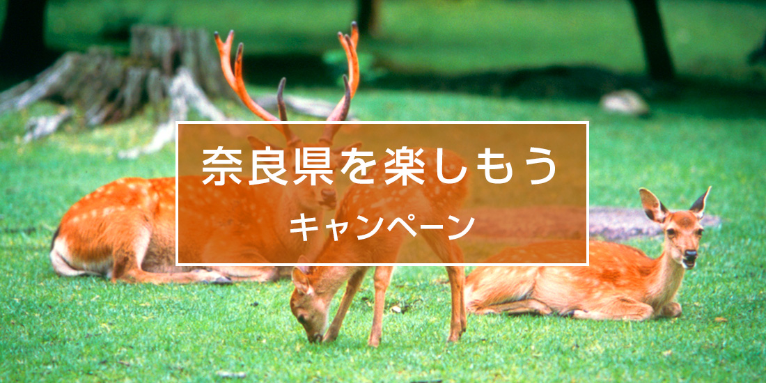 奈良県を楽しもうキャンペーン