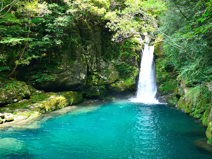 仁淀川にこ淵