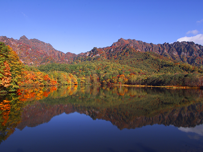 紅葉のシンメトリー