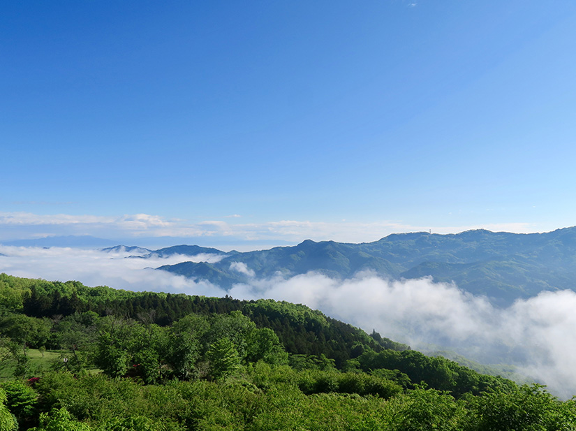 美の山　雲海写真