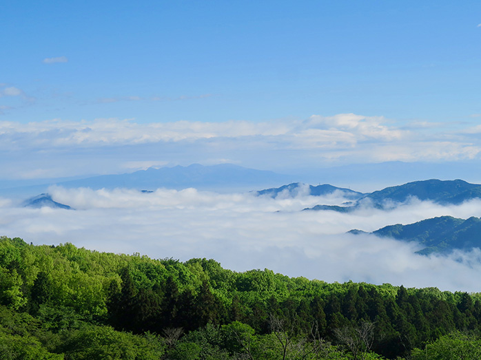 美の山公園から望む雲海