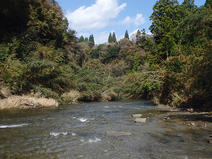 養老川の川底には、当時の貝の化石も