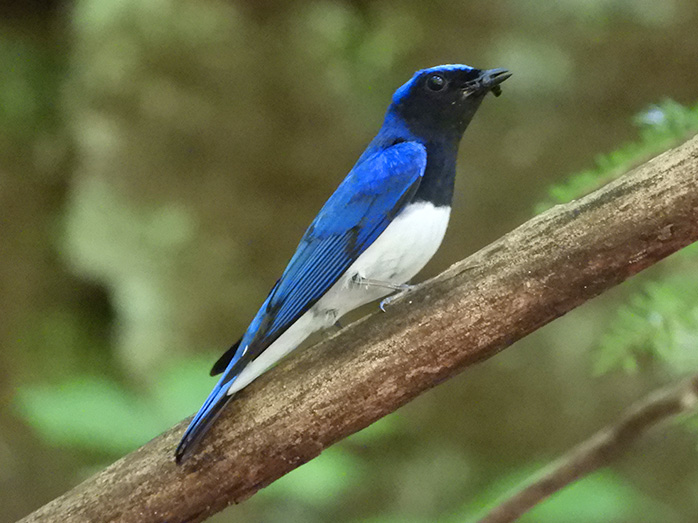 野鳥たちも集う大自然　