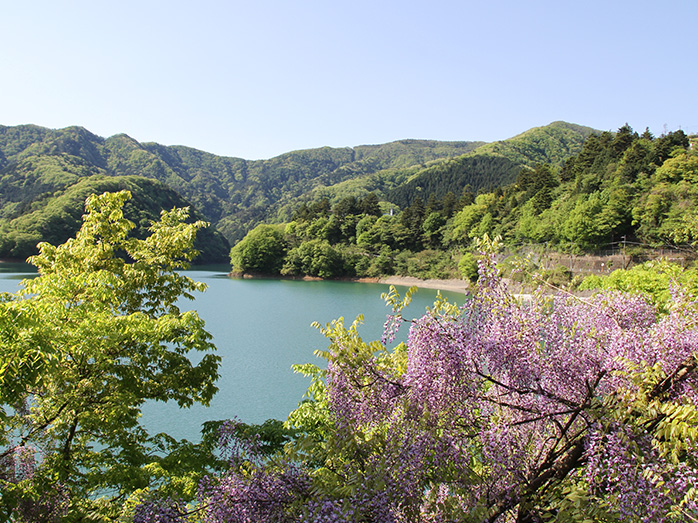 四季折々の美しさがある奥多摩湖　