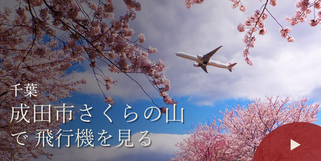 千葉　成田市さくらの山で飛行機を見る