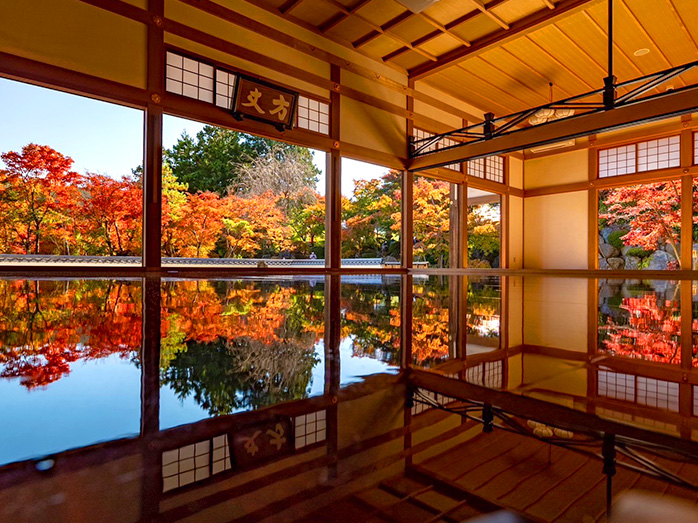 日本の魅力を探そう「宝徳寺「床もみじ」」【近畿日本ツーリスト】を利用して関東で贅沢気分を味わおう！│近畿日本ツーリスト