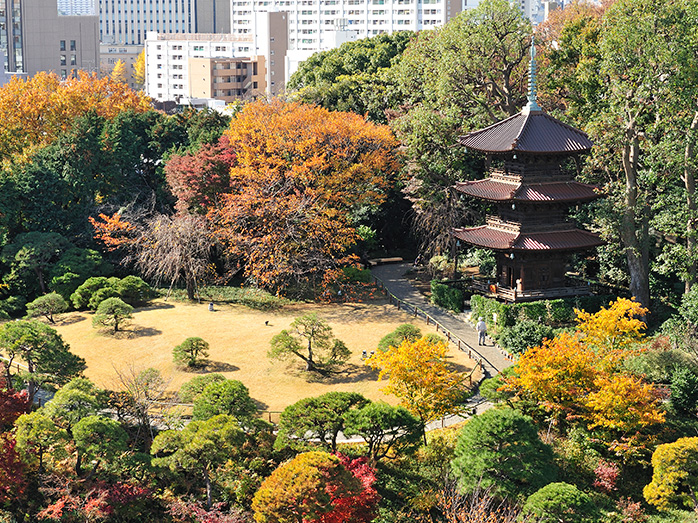 庭園