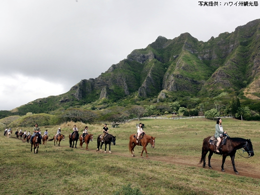 豊富な山のアクティビティ