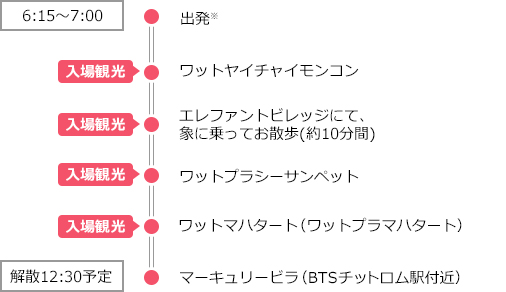 出発（6:15～7:00）＝＝＝ワットヤイチャイモンコン（下車観光）＝＝＝エレファントビレッジにて、象に乗ってお散歩(約10分間)（下車観光）＝＝＝ワットプラシーサンペット（下車観光）＝＝＝ワットマハタート（ワットプラマハタート）（下車観光）＝＝＝マーキュリービラ（BTSチットロム駅付近）（解散12:30予定）