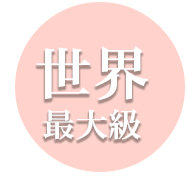世界最大級