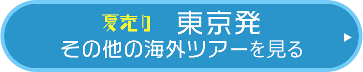 夏売り2019　その他の東京発海外ツアーを見る