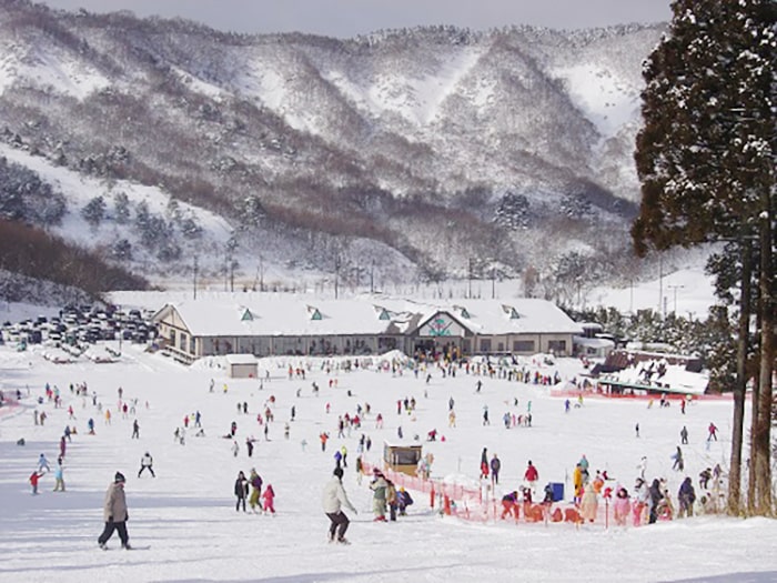 太平山スキー場オーパス