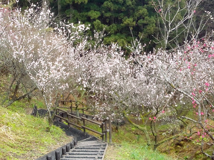 浜田森林総合公園