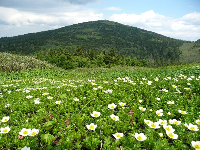 森吉山