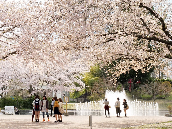 八戸公園（こどもの国・八戸植物公園）