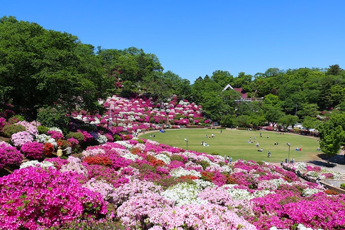 西山公園