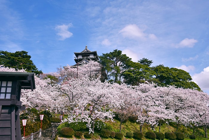 丸岡城