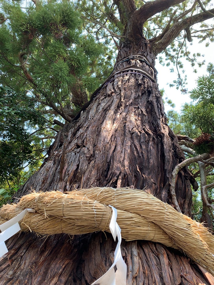 大國魂神社