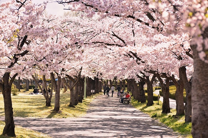 開成山公園