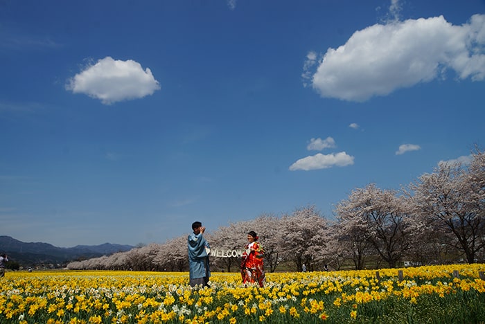 岩井親水公園