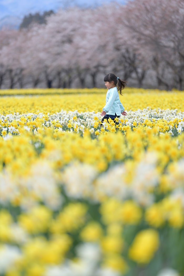 岩井親水公園