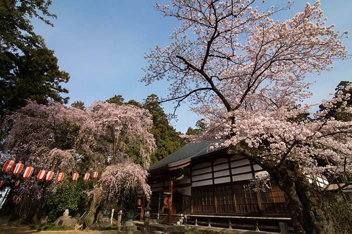 金剛寺