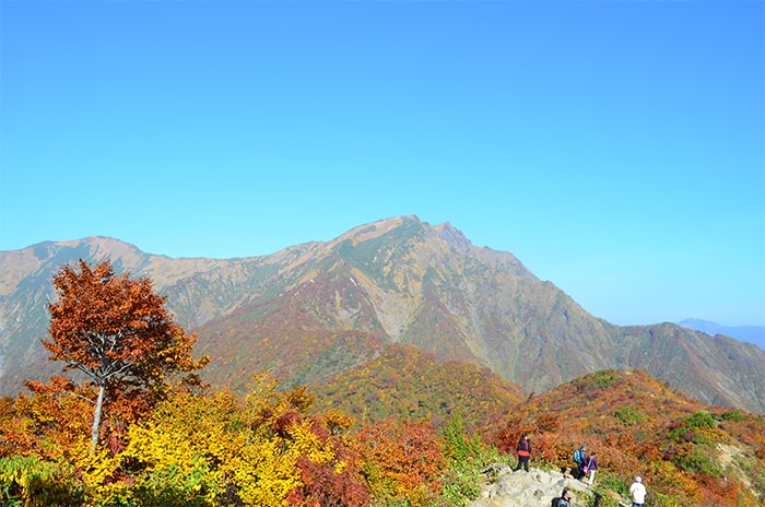 谷川岳　天神平