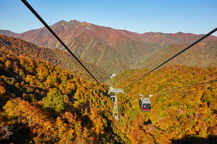 谷川岳ロープウェイ天神峠ペアリフト