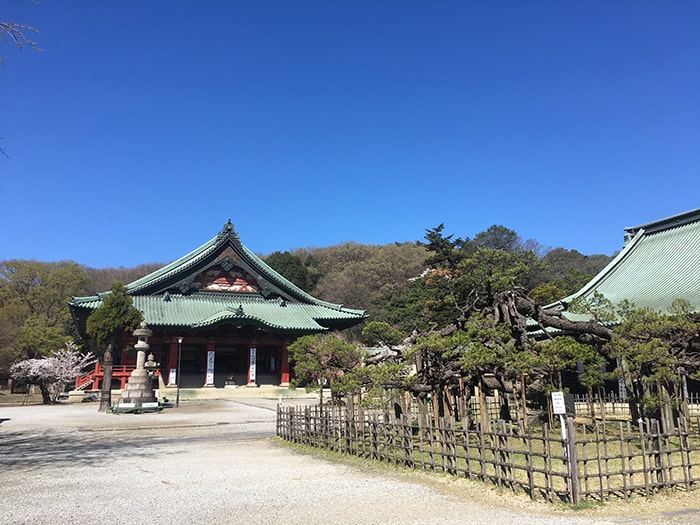 大光院﻿