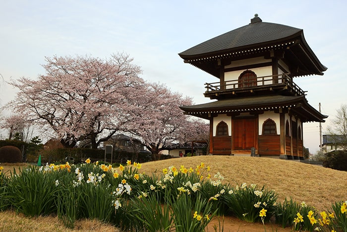 善長寺