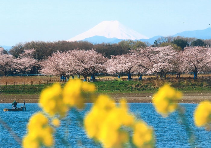 群馬県立多々良沼公園