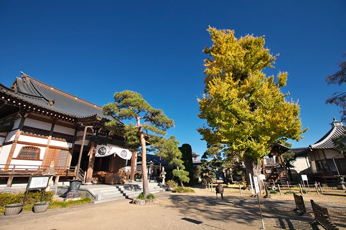 龍光寺