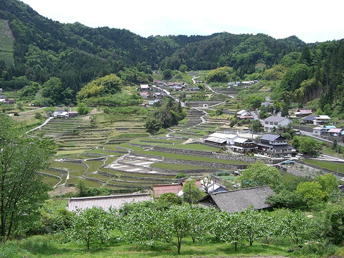 井仁の棚田