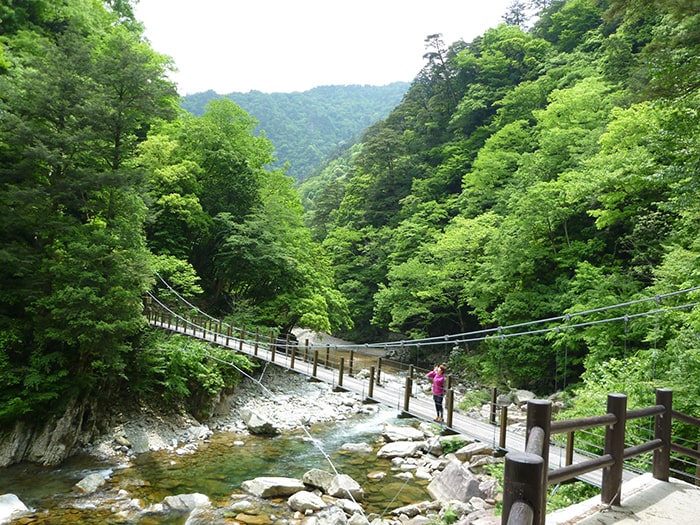 三段峡・蛇杉橋