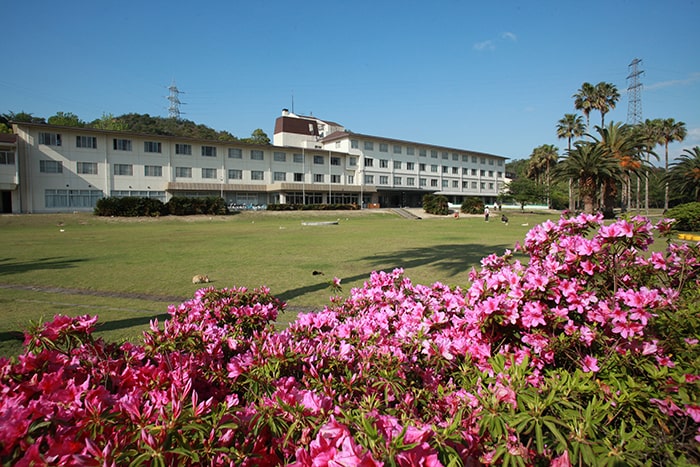 ウサギ島　休暇村 大久野島