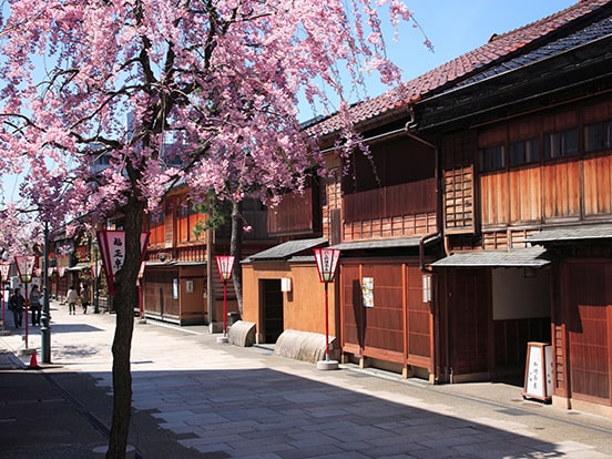 販売 金沢 東京 パック