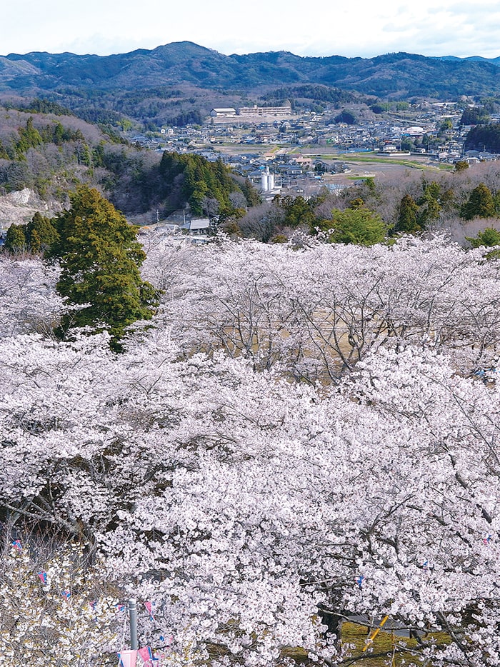 西山公園