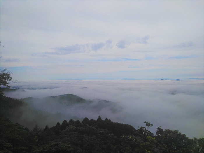 山頂雲海